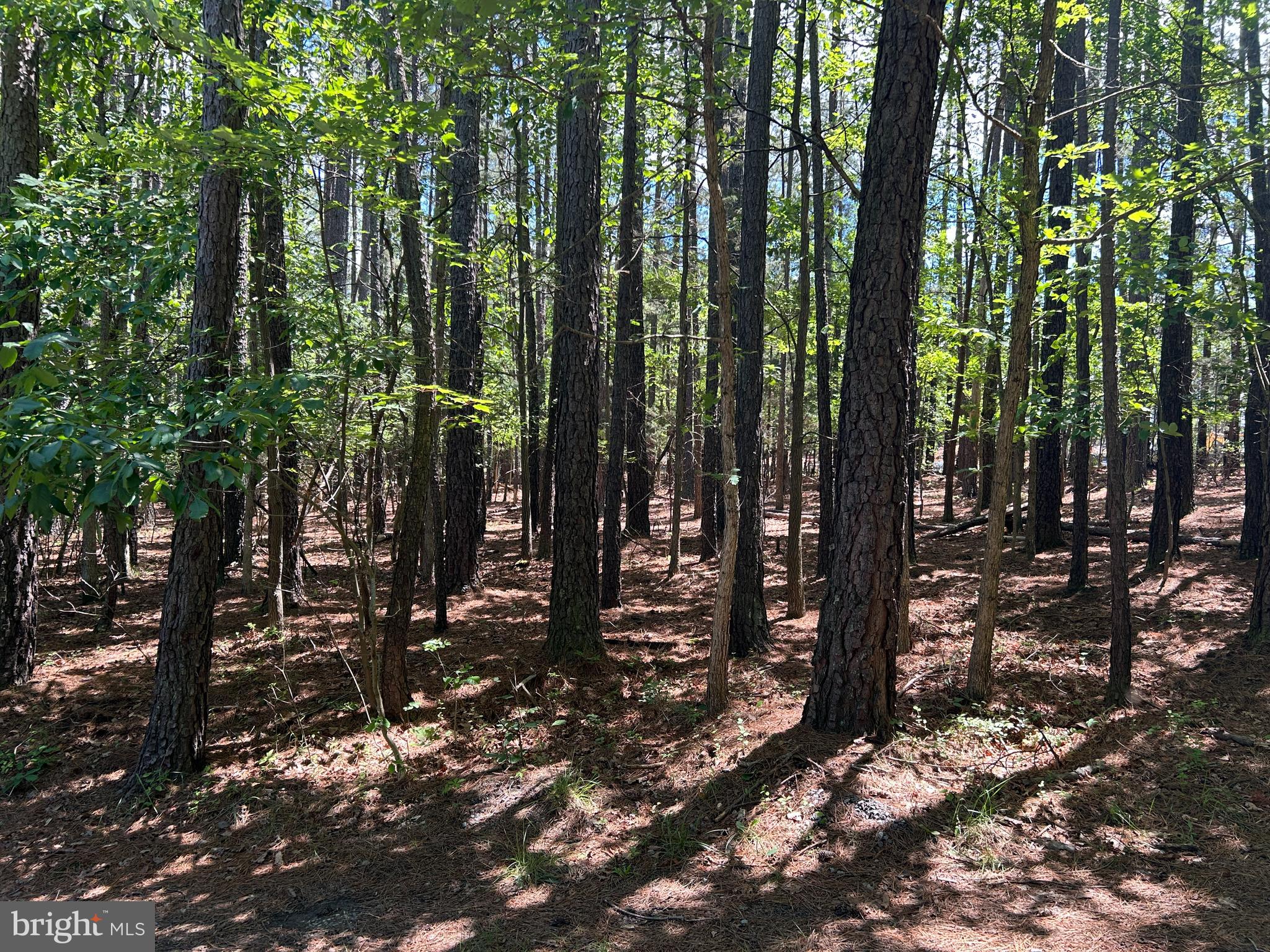 LOBLOLLY ESTATES - Residential