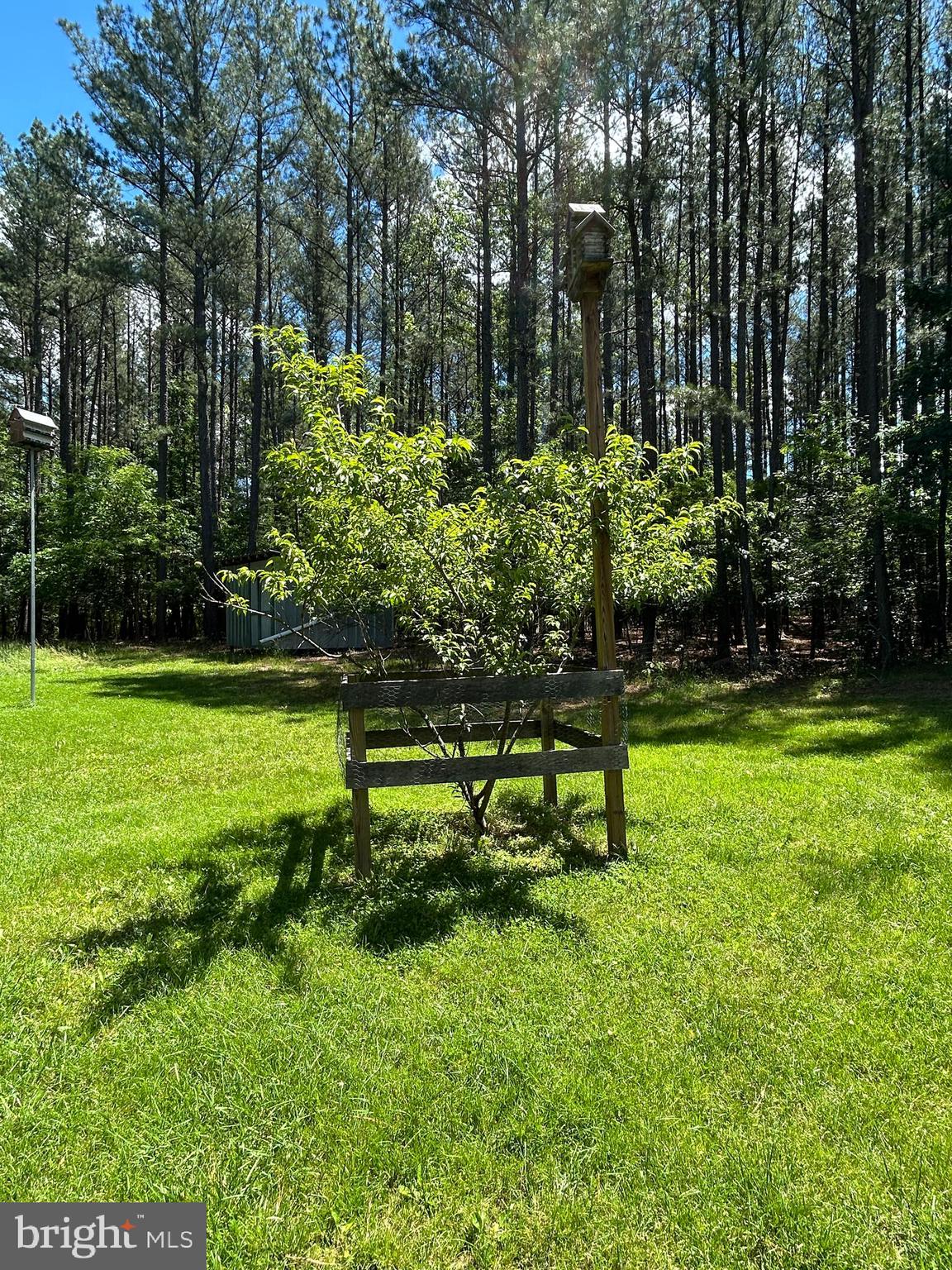 LOBLOLLY ESTATES - Residential