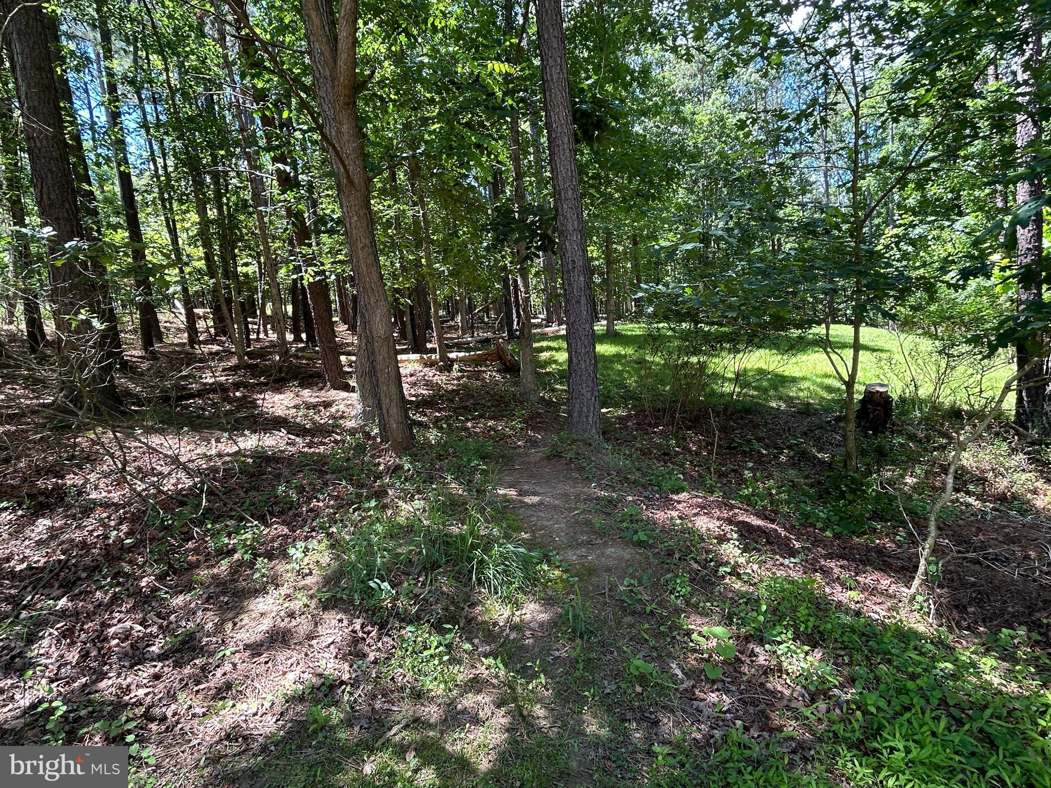 LOBLOLLY ESTATES - Residential