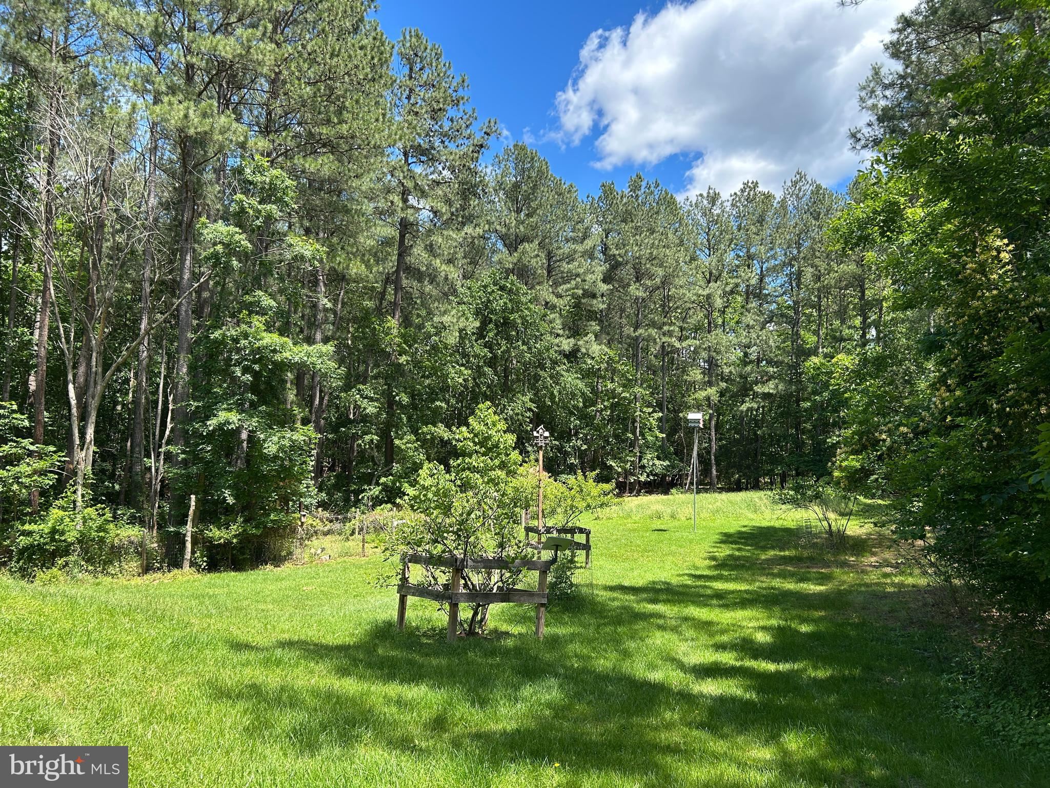 LOBLOLLY ESTATES - Residential