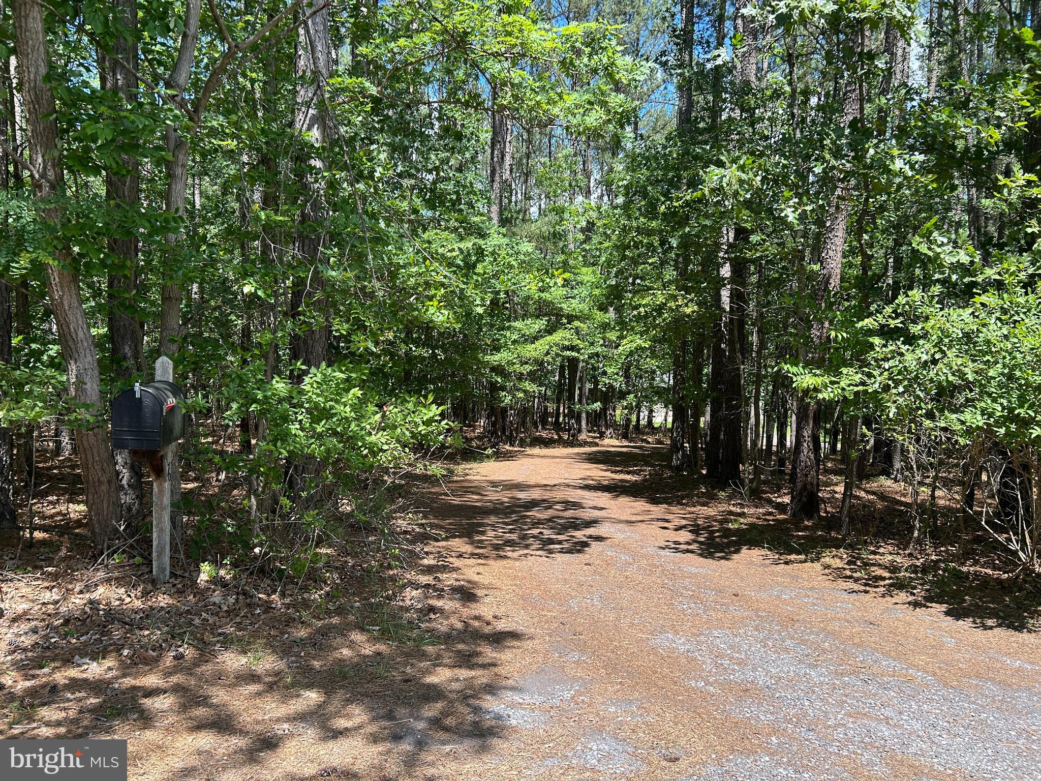 LOBLOLLY ESTATES - Residential