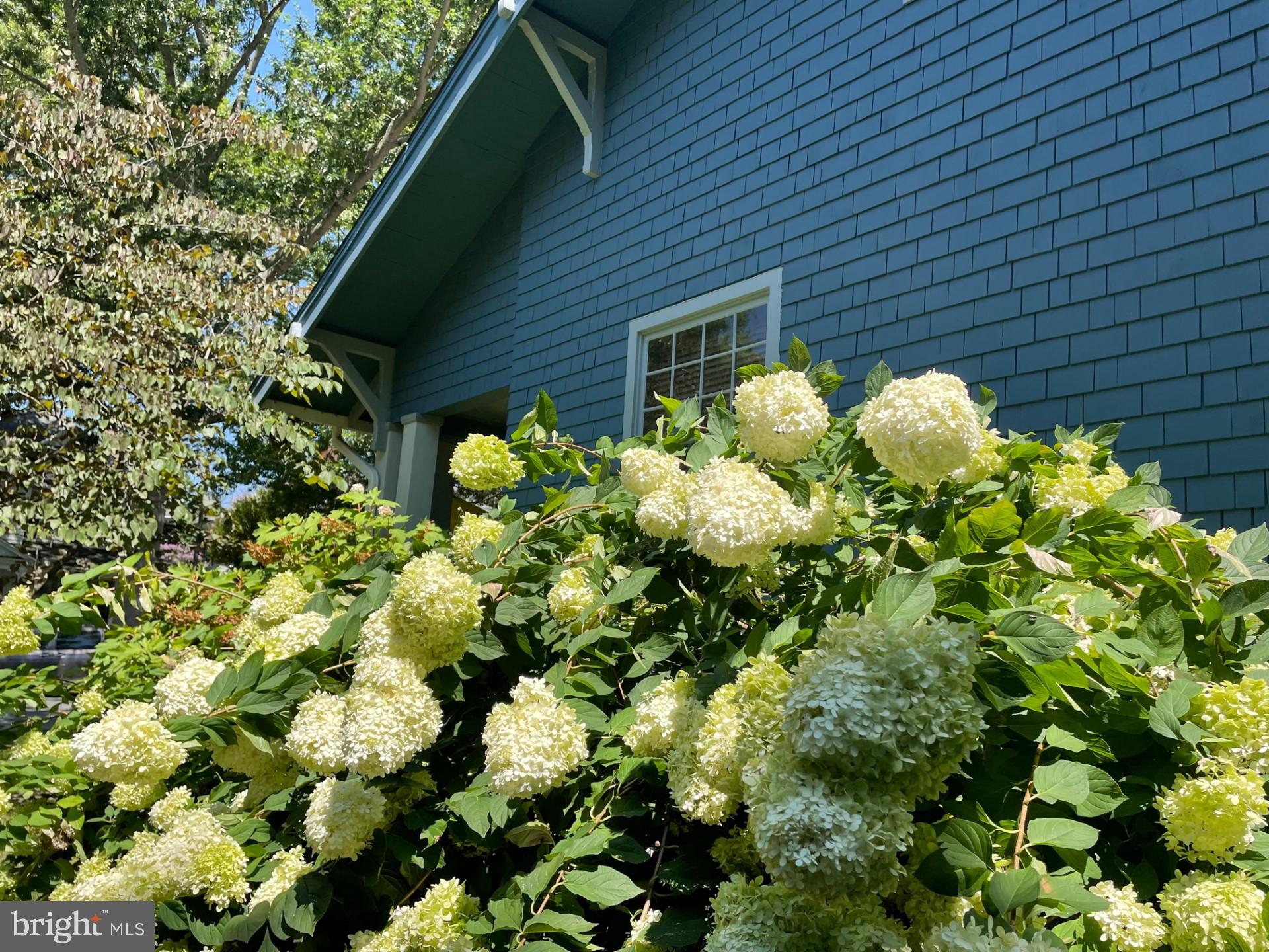 EASTON HISTORIC DISTRICT - Residential