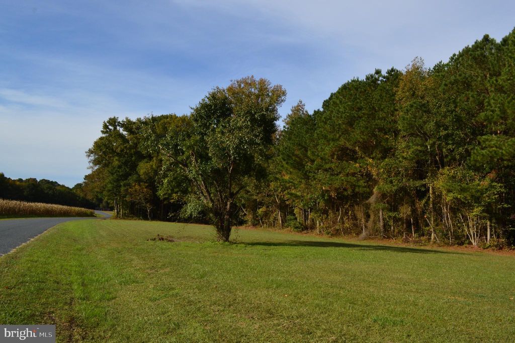 Photo of 0 Yacht Club Road, EDEN, MD 21822 (MLS # MDWC2020266)
