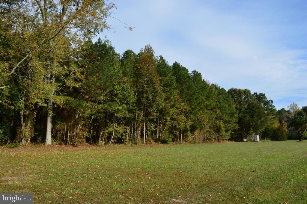 Photo of 0 Yacht Club Road, EDEN, MD 21822 (MLS # MDWC2020266)