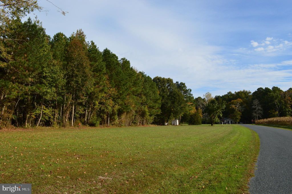 Photo of 0 Yacht Club Road, EDEN, MD 21822 (MLS # MDWC2020266)