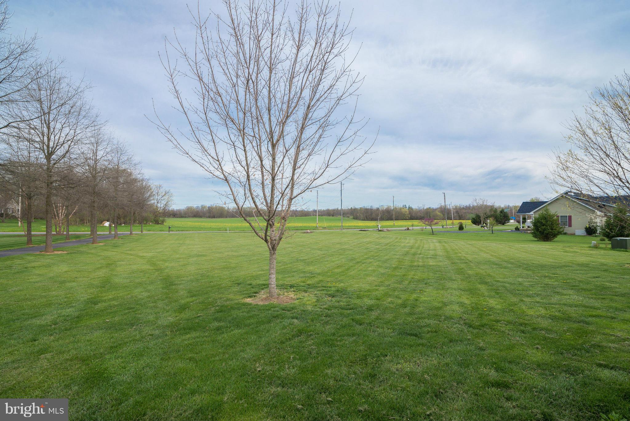 LOST ROAD ESTATES - Residential