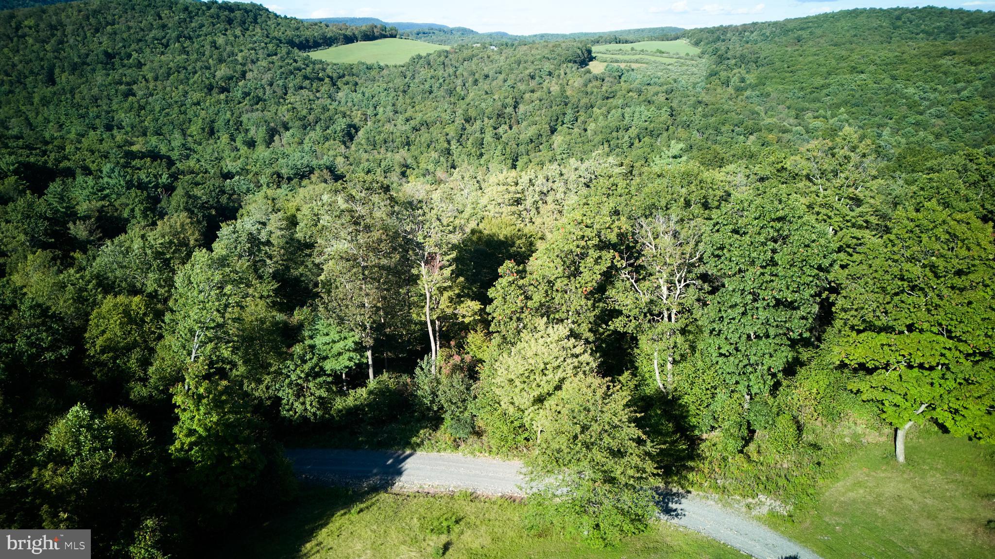 PORT MATILDA - Residential