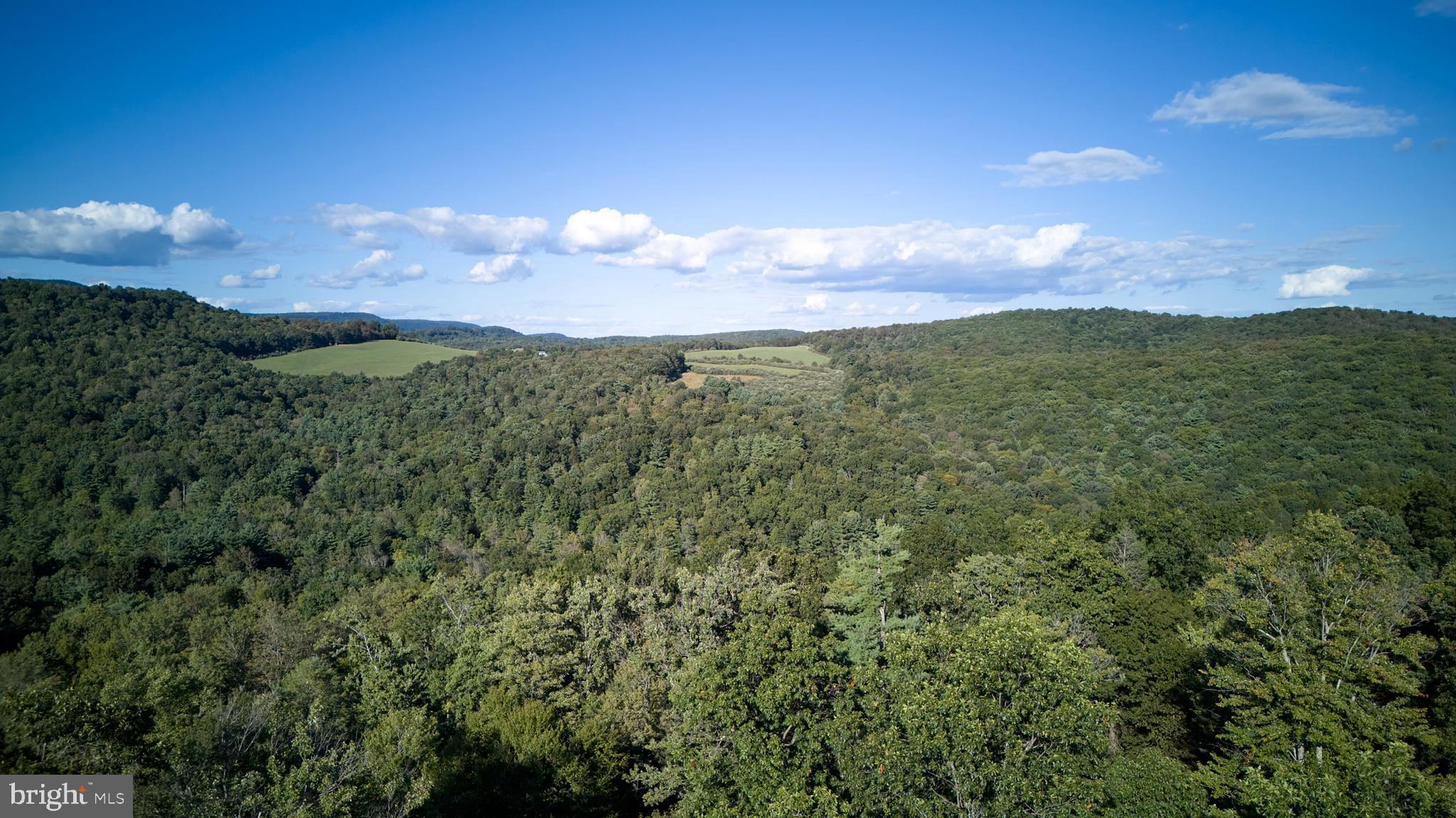 PORT MATILDA - Residential