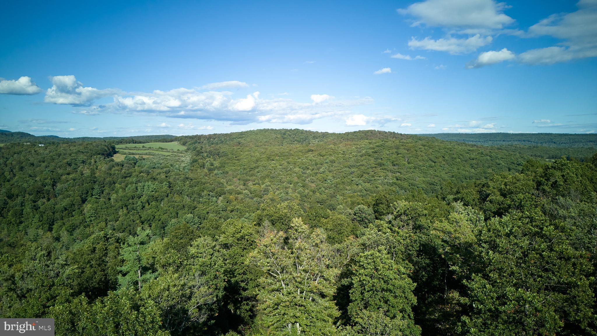 PORT MATILDA - Residential