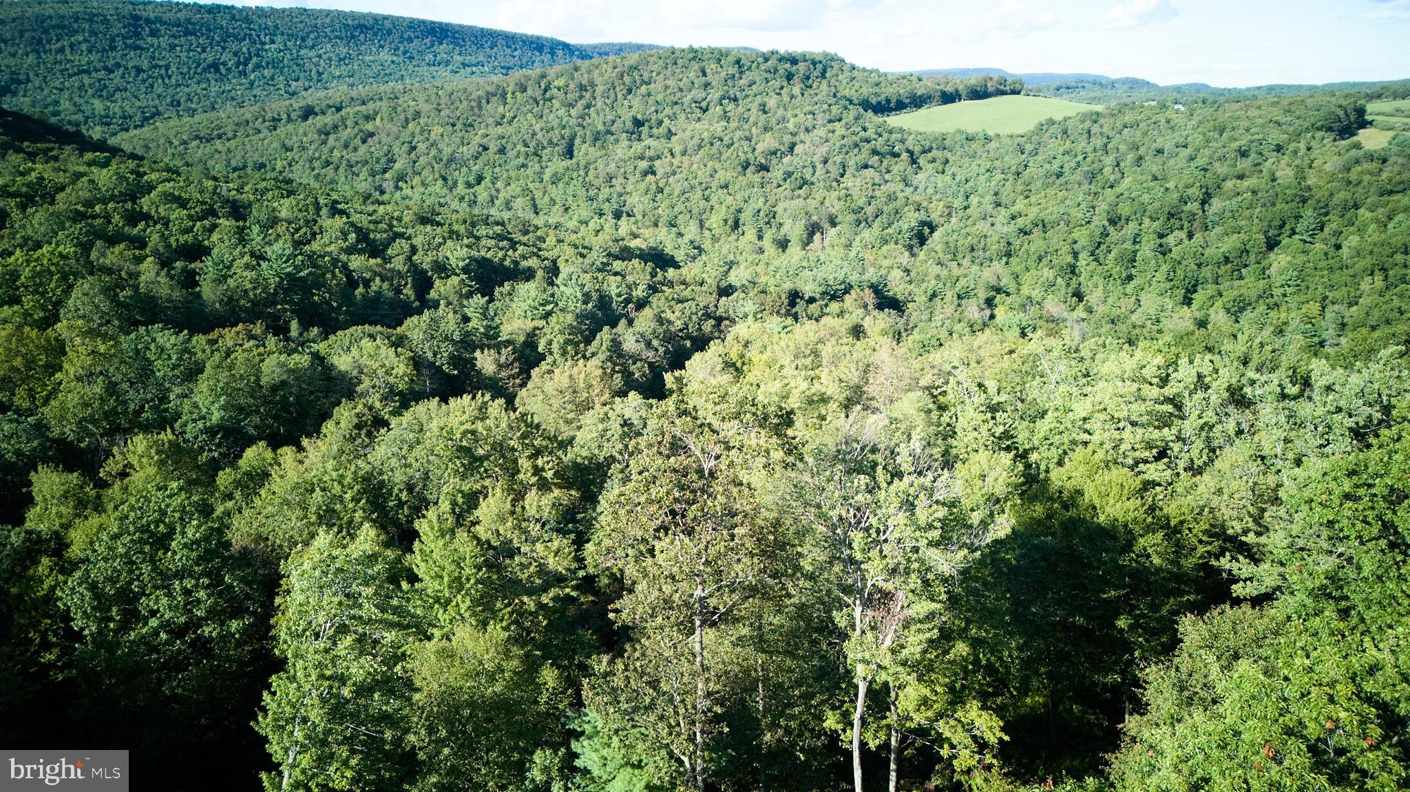 PORT MATILDA - Residential