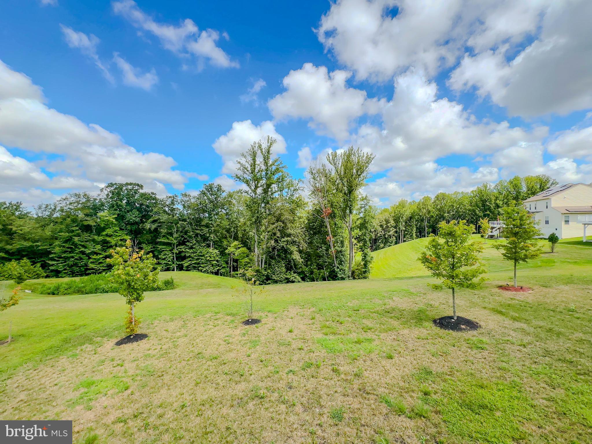 VILLAGES OF SAVANNAH - Residential