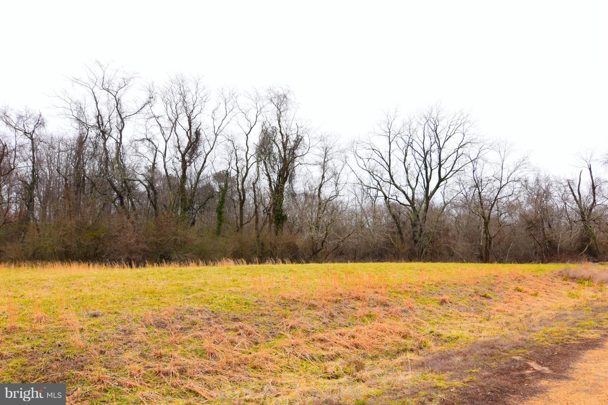 SNOW HILL MANOR RESERVE - Land