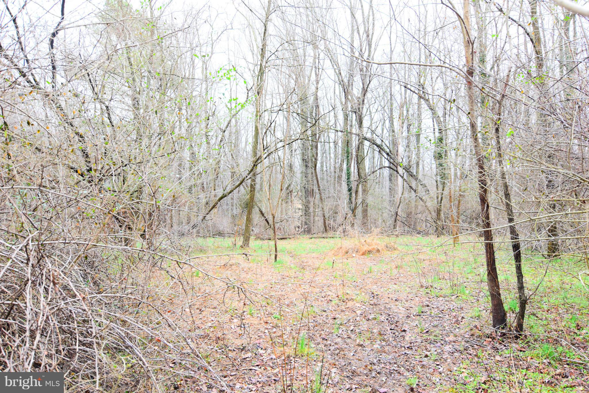 SNOW HILL MANOR RESERVE - Land