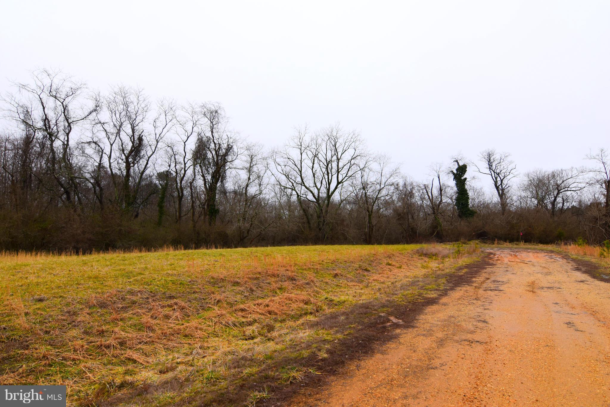 SNOW HILL MANOR RESERVE - Land