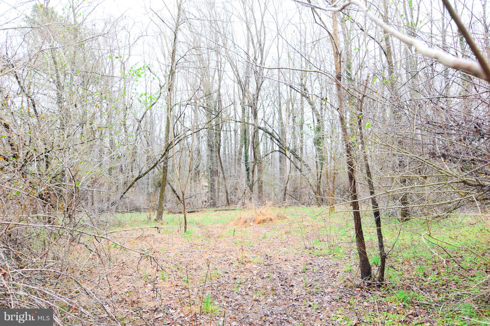 SNOW HILL MANOR RESERVE - Land