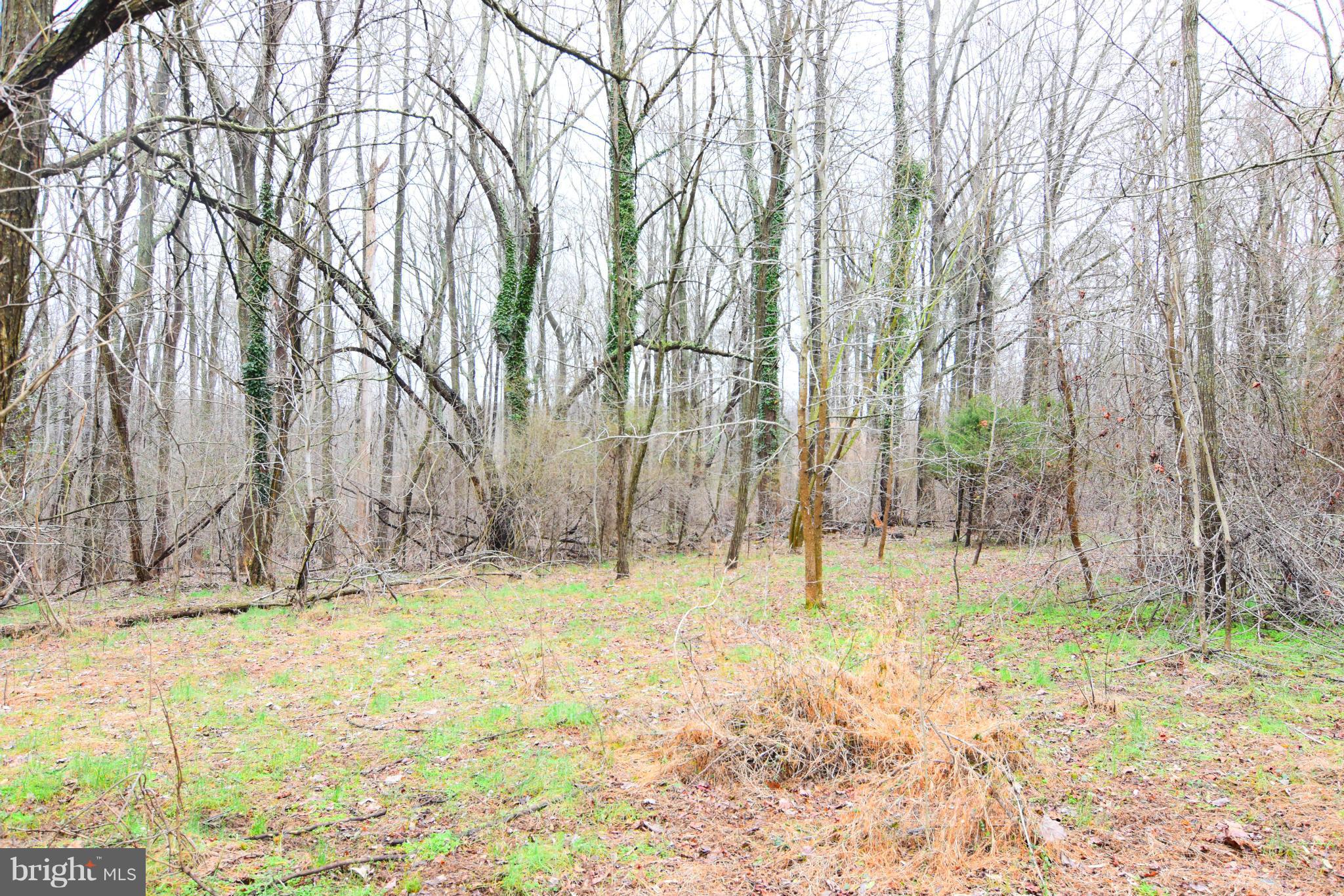 SNOW HILL MANOR RESERVE - Land