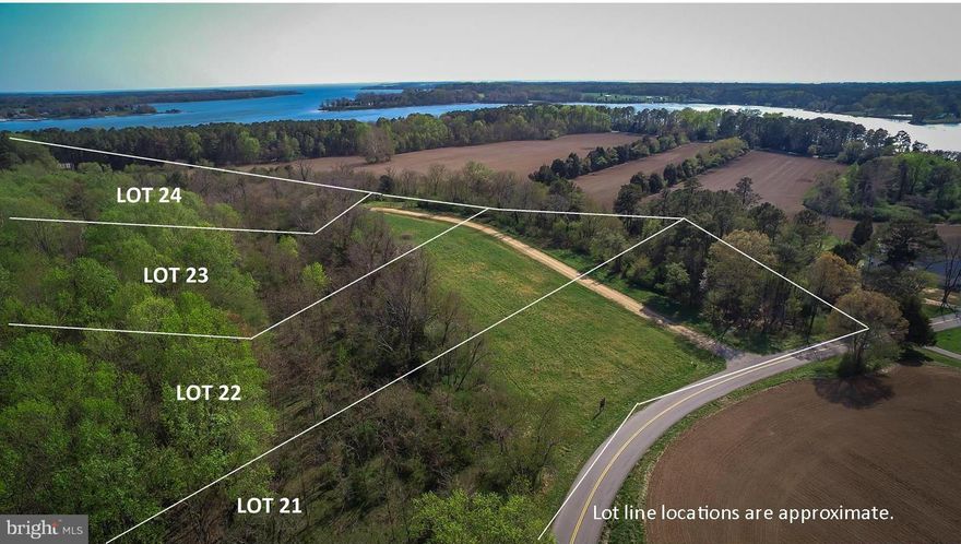 Lovely private lot in St Mary's City off of Snow Hill Manor Lane.  Ready to build your dream home. Approved perc and recorded plat. Beautiful hardwood trees on 4.34 acres.