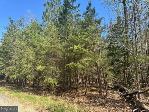 LOVEVILLE ROAD MECHANICSVILLE MD 20659