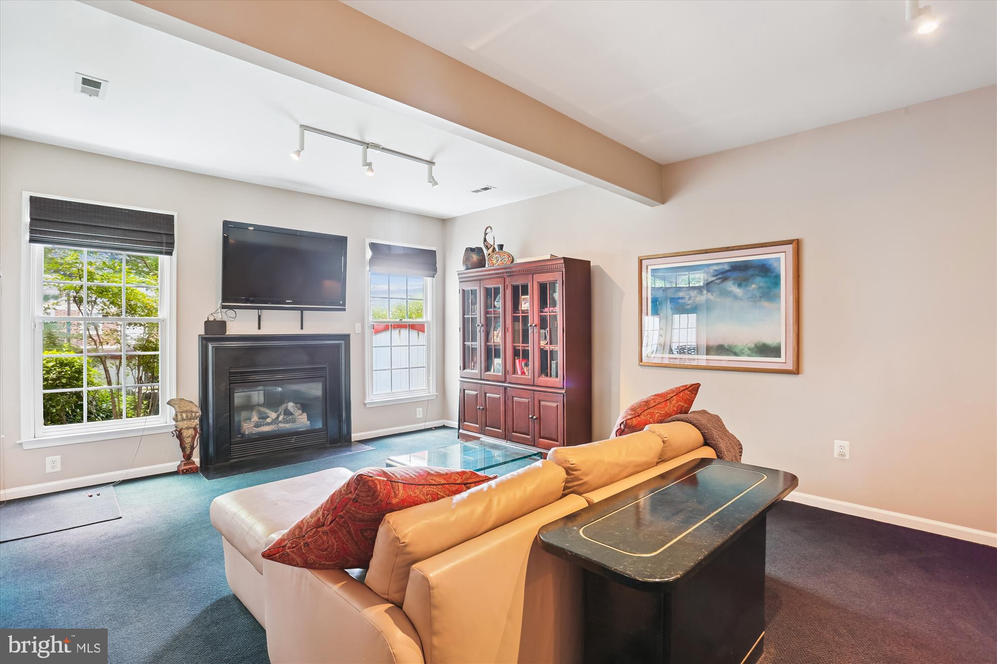 DEMOCRACY COMMONS - Residential