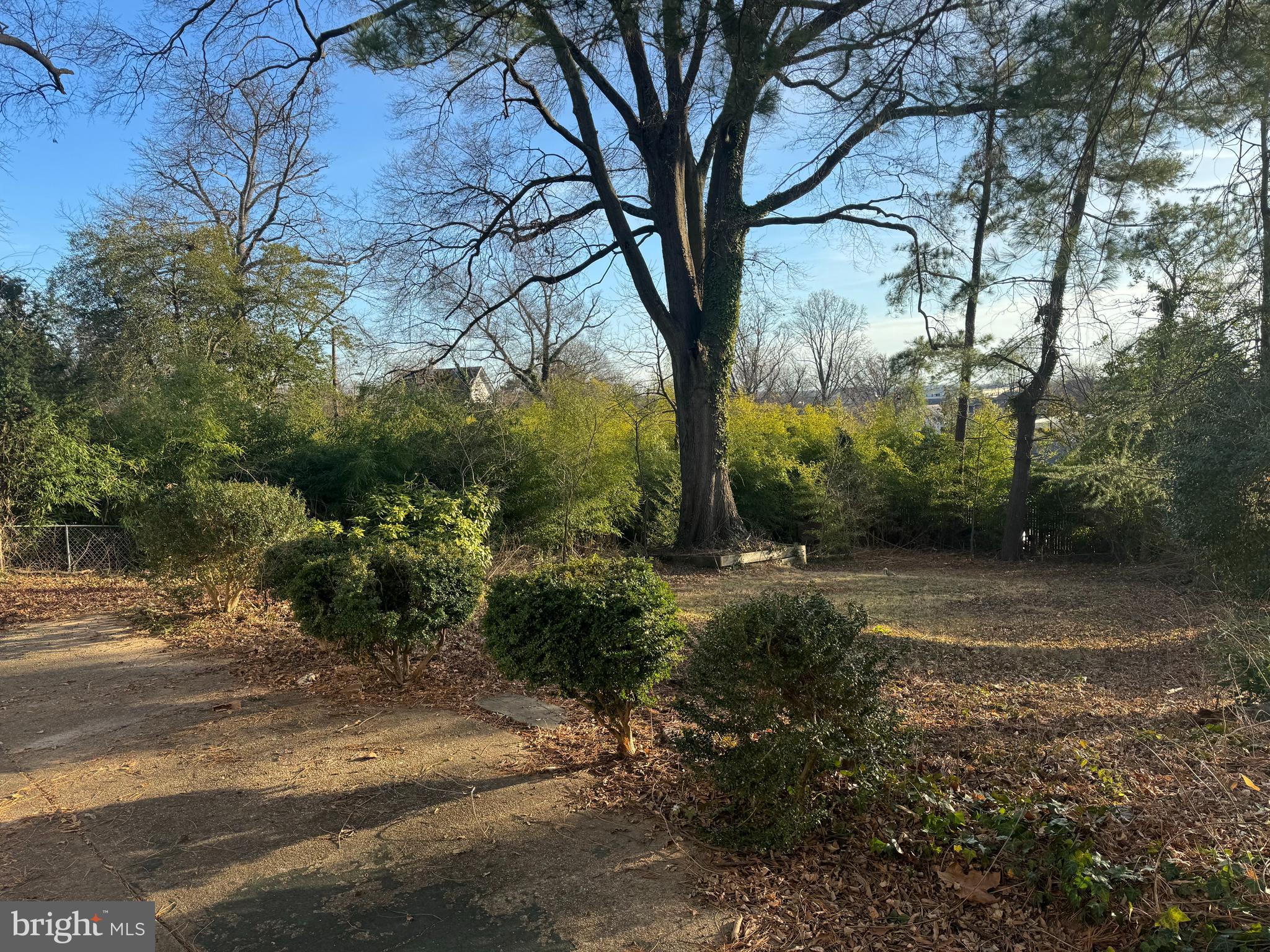 DANIELS PARK - Residential Lease