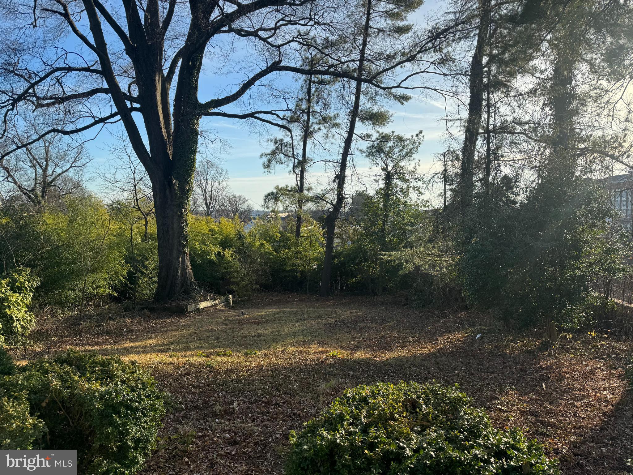 DANIELS PARK - Residential Lease