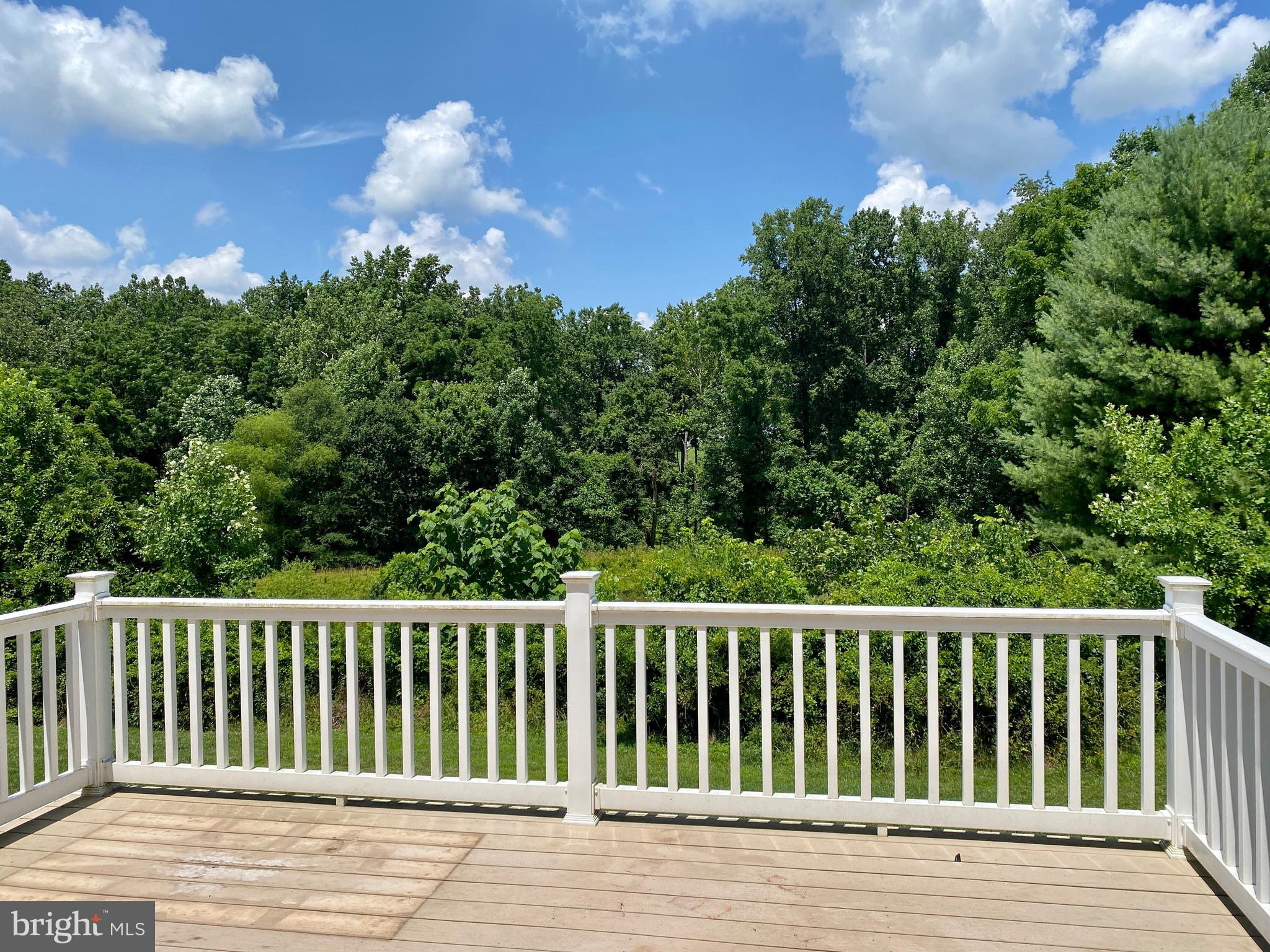 MONMOUTH MEADOWS - Residential