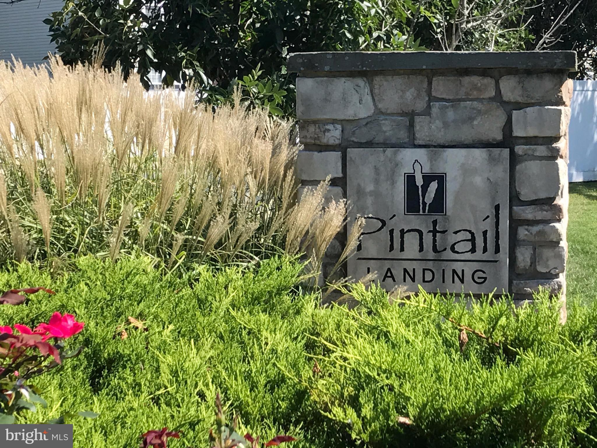PINTAIL LANDING - Residential