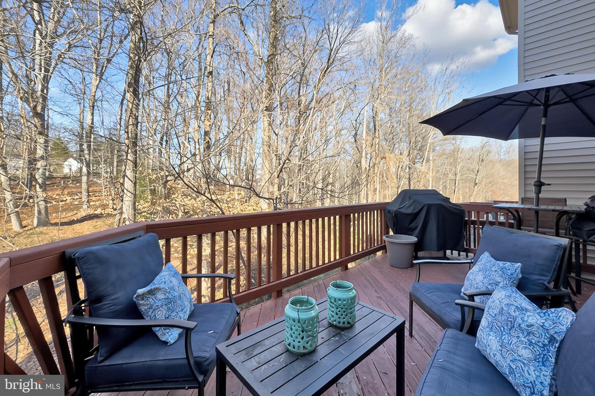 THE FOREST AT SOUTHRUN - Residential