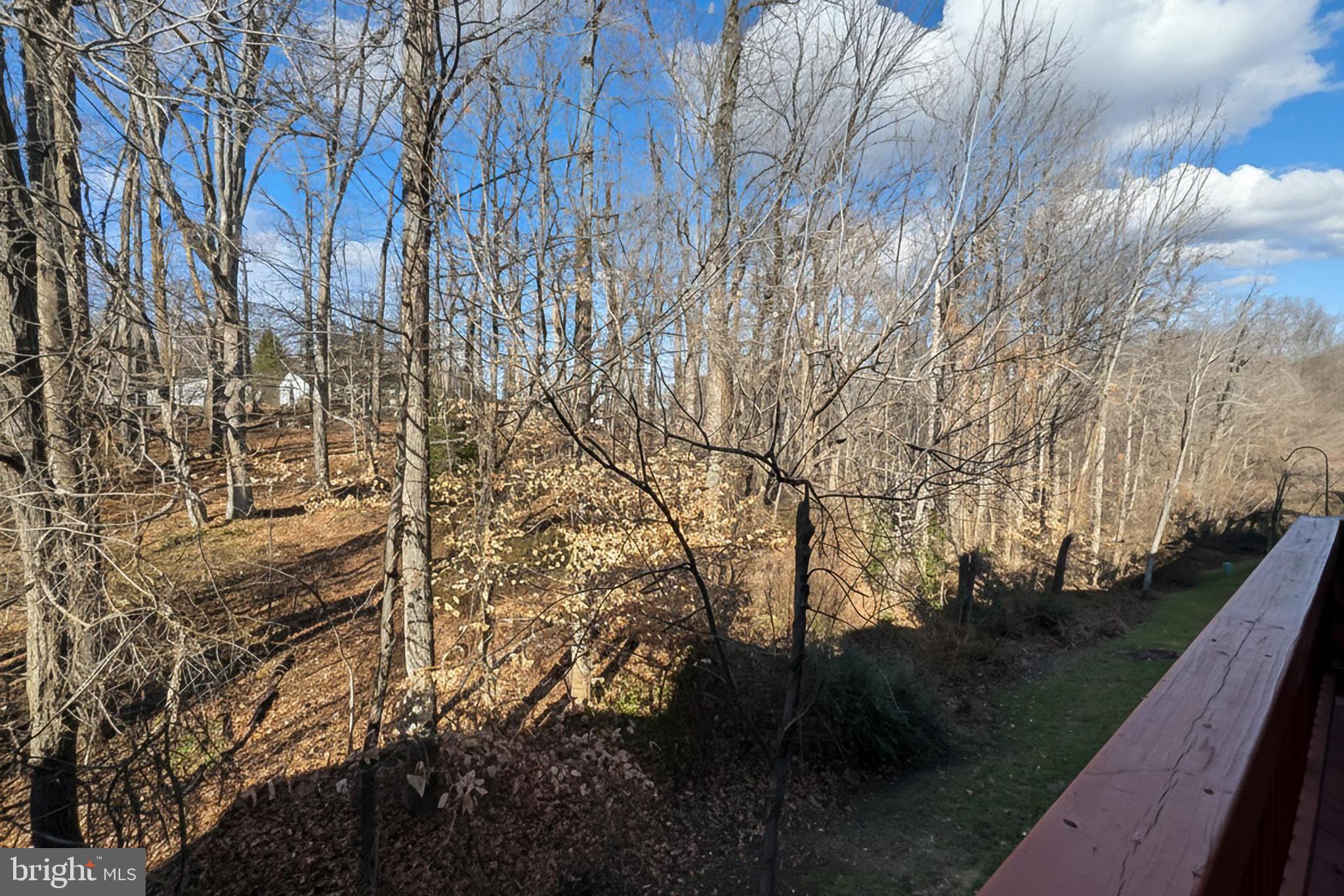 THE FOREST AT SOUTHRUN - Residential