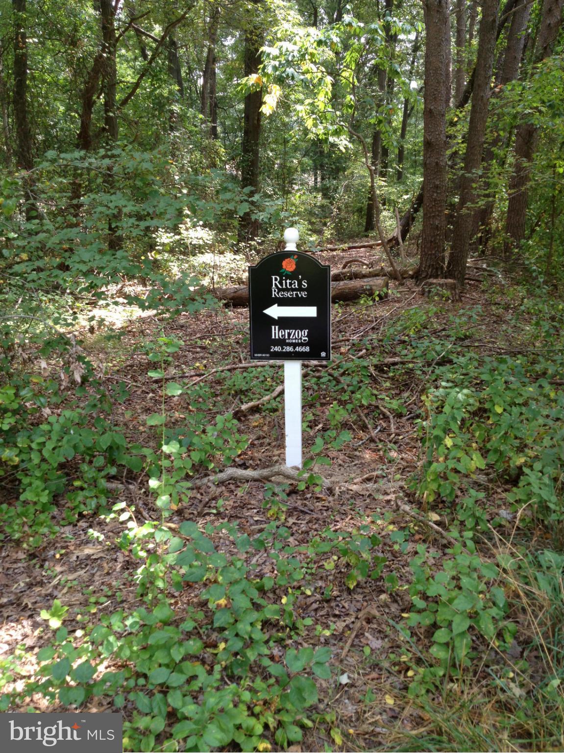 RITA'S RESERVE - Residential