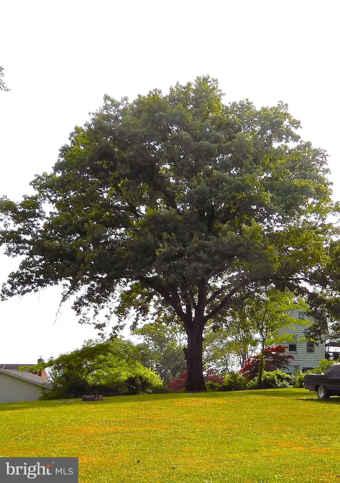 KENWOOD PARK - Residential