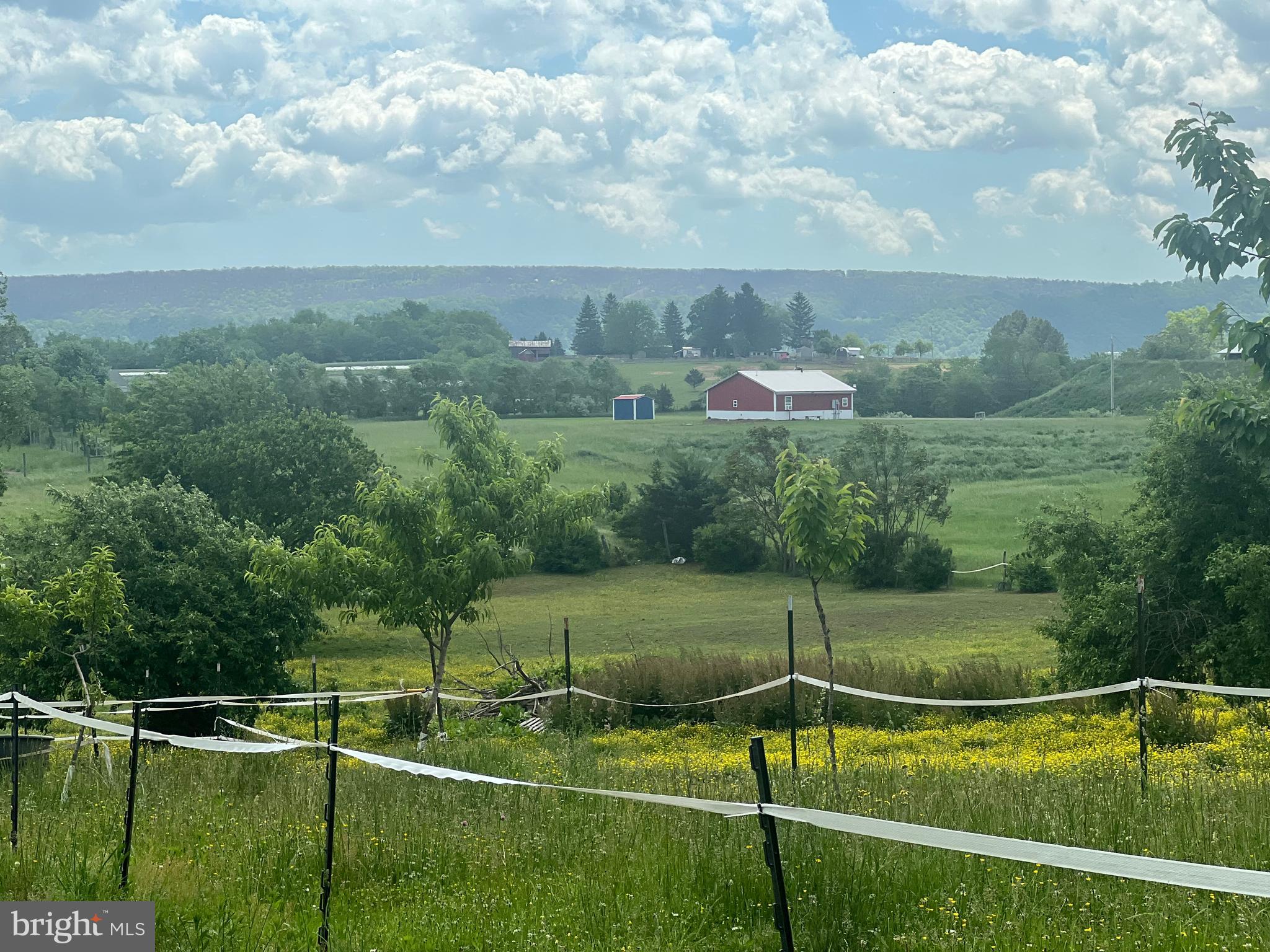 NONE AVAILABLE - Farm