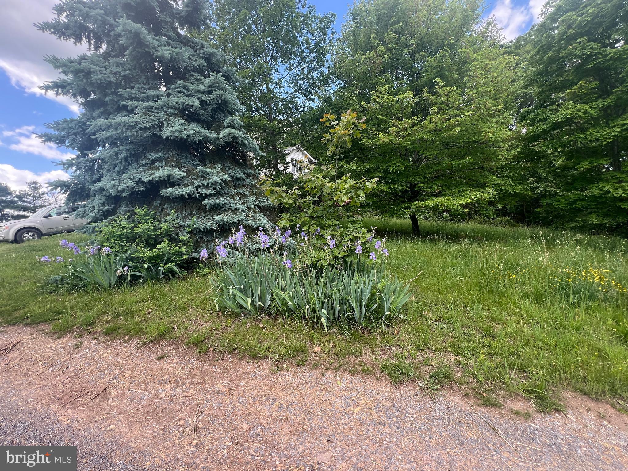 NONE AVAILABLE - Farm