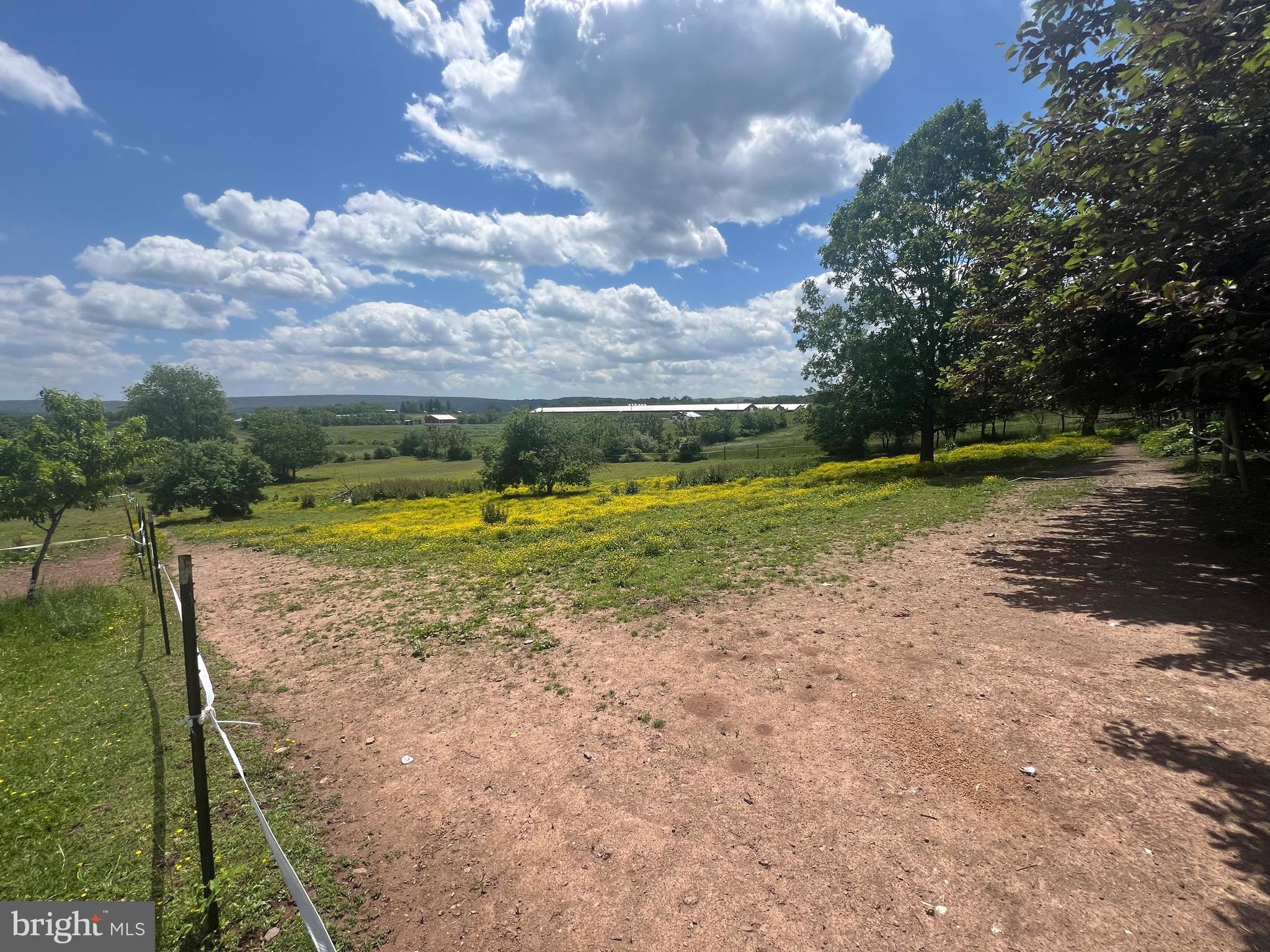 NONE AVAILABLE - Farm