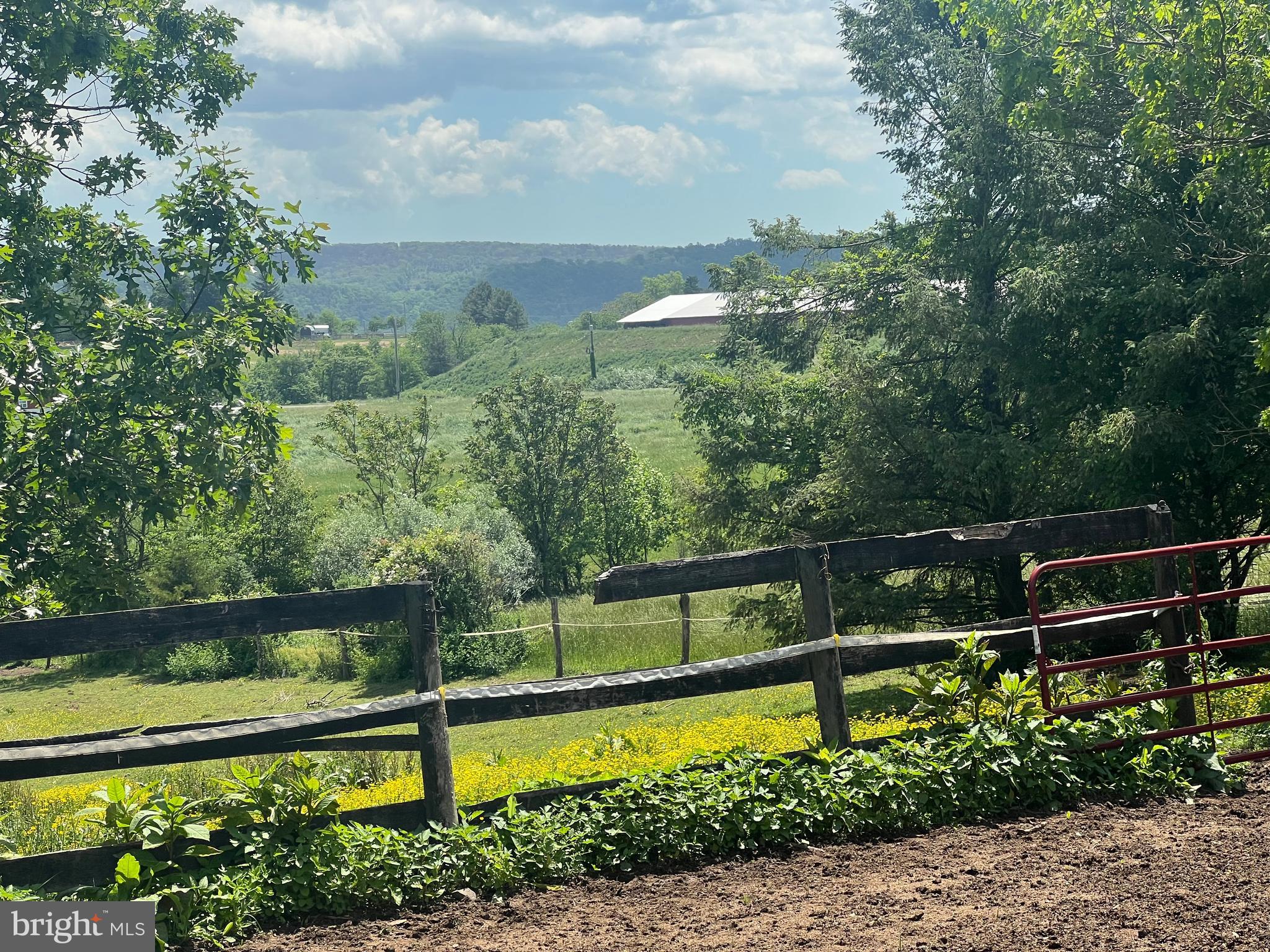 NONE AVAILABLE - Farm