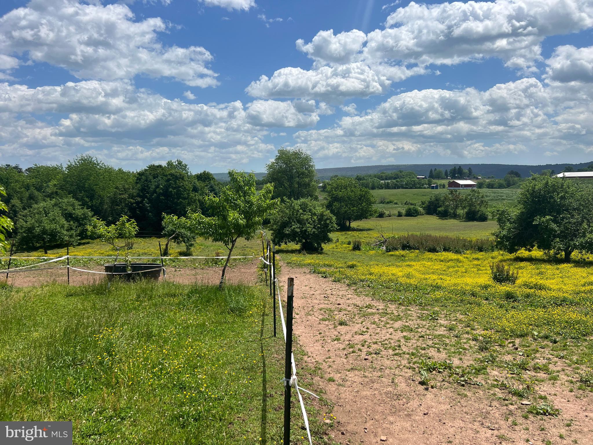 NONE AVAILABLE - Farm