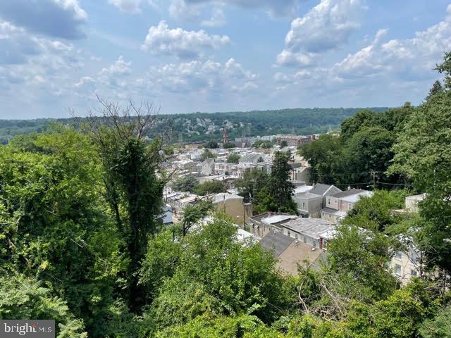 MANAYUNK - Residential