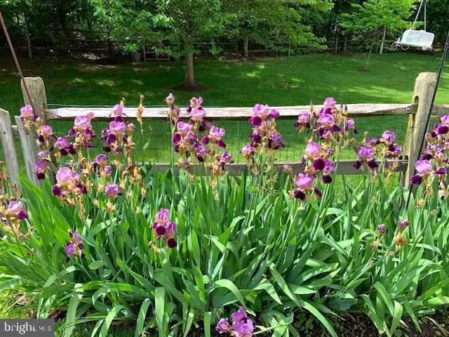 RIDINGS AT BLUE SPRINGS - Residential