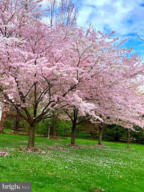 RIDINGS AT BLUE SPRINGS - Residential