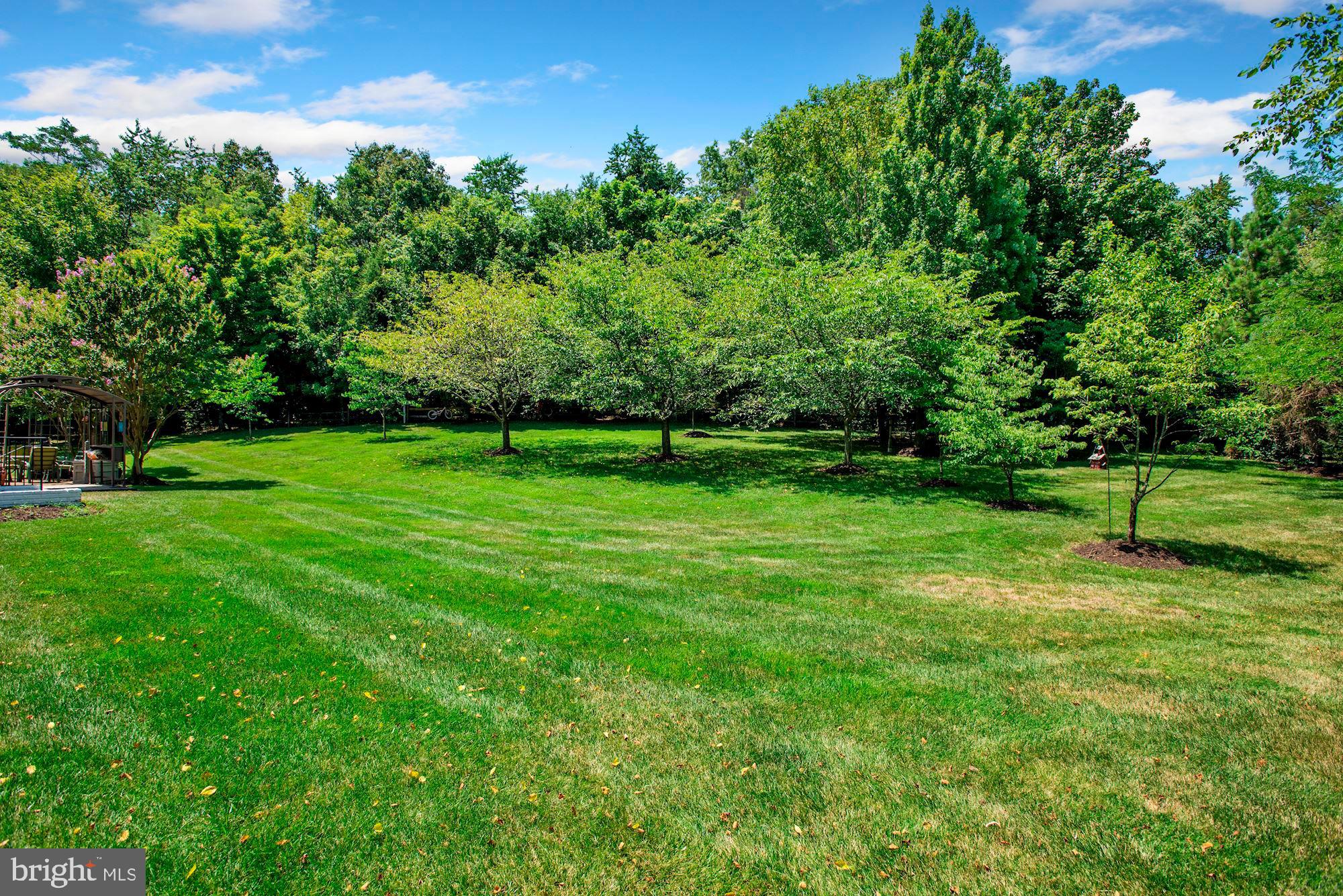 RIDINGS AT BLUE SPRINGS - Residential