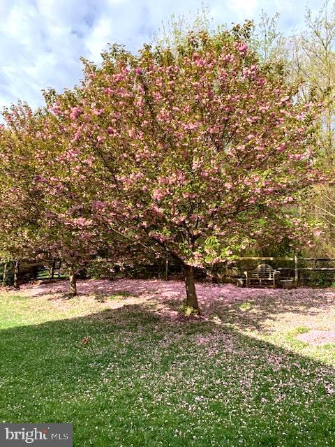 RIDINGS AT BLUE SPRINGS - Residential