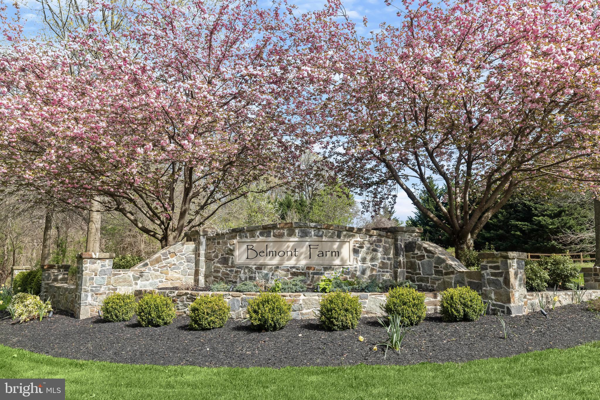 BELMONT FARM - Residential
