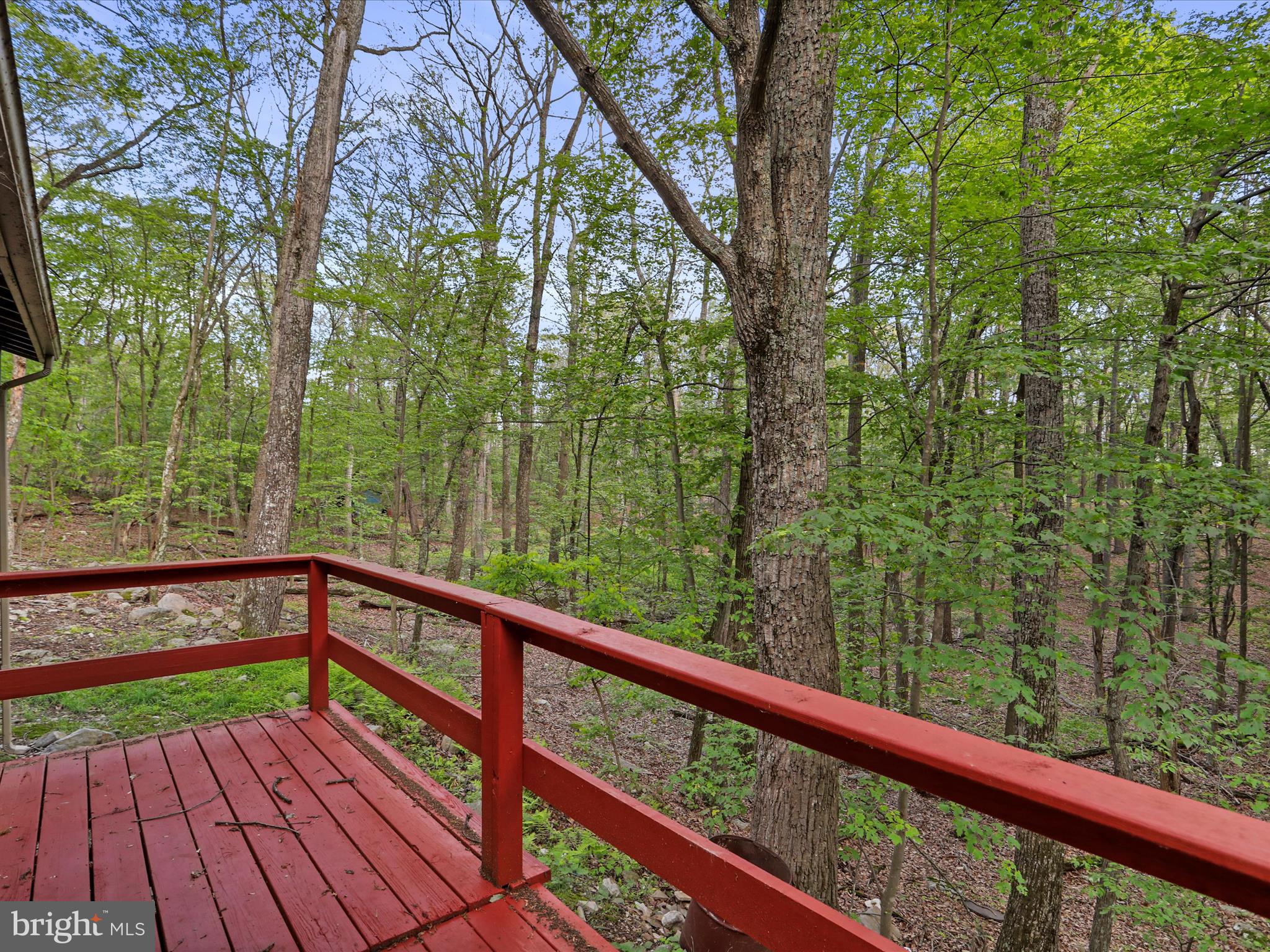 CABIN AT CAPON BRIDGE - Residential