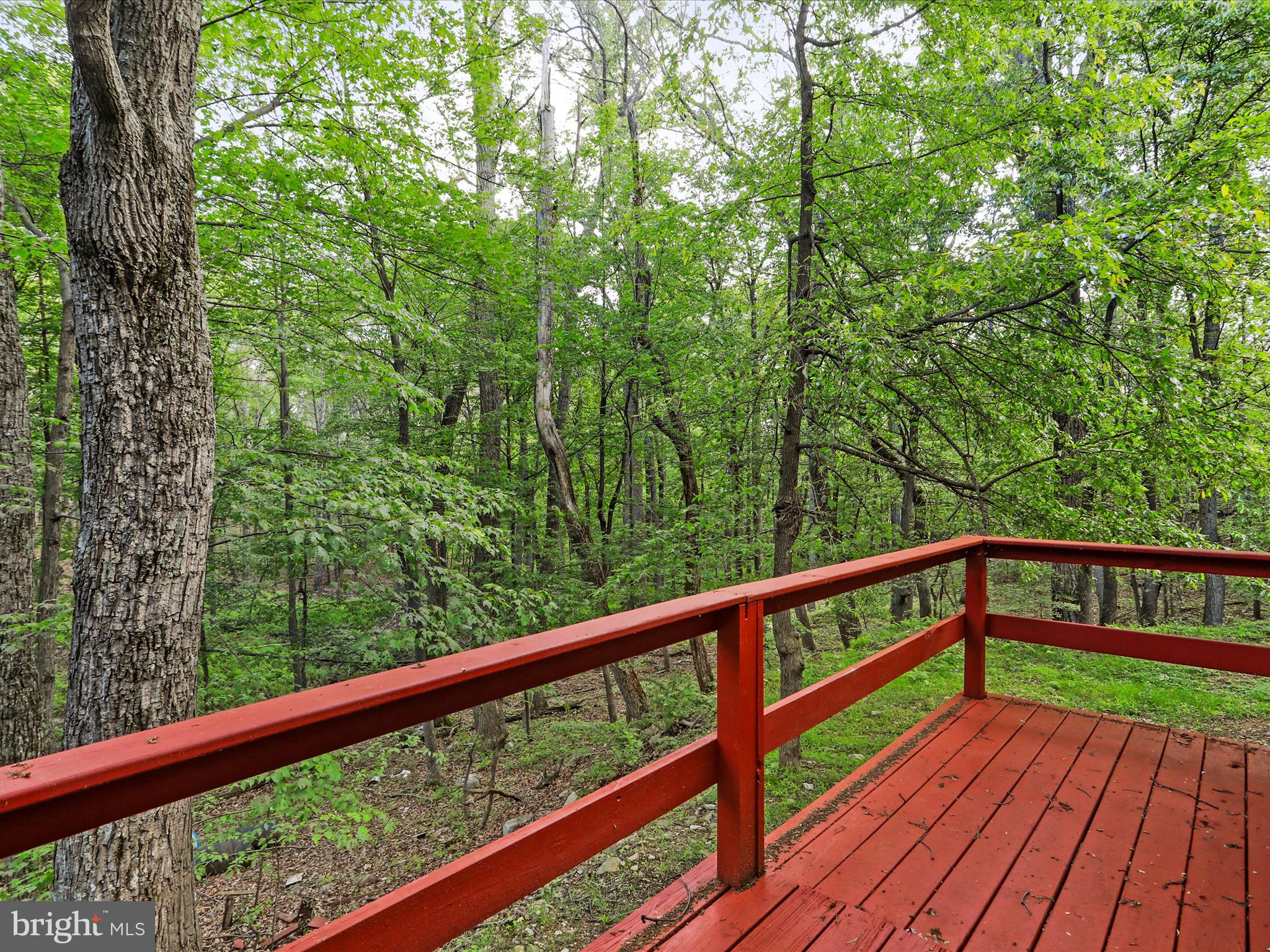 CABIN AT CAPON BRIDGE - Residential