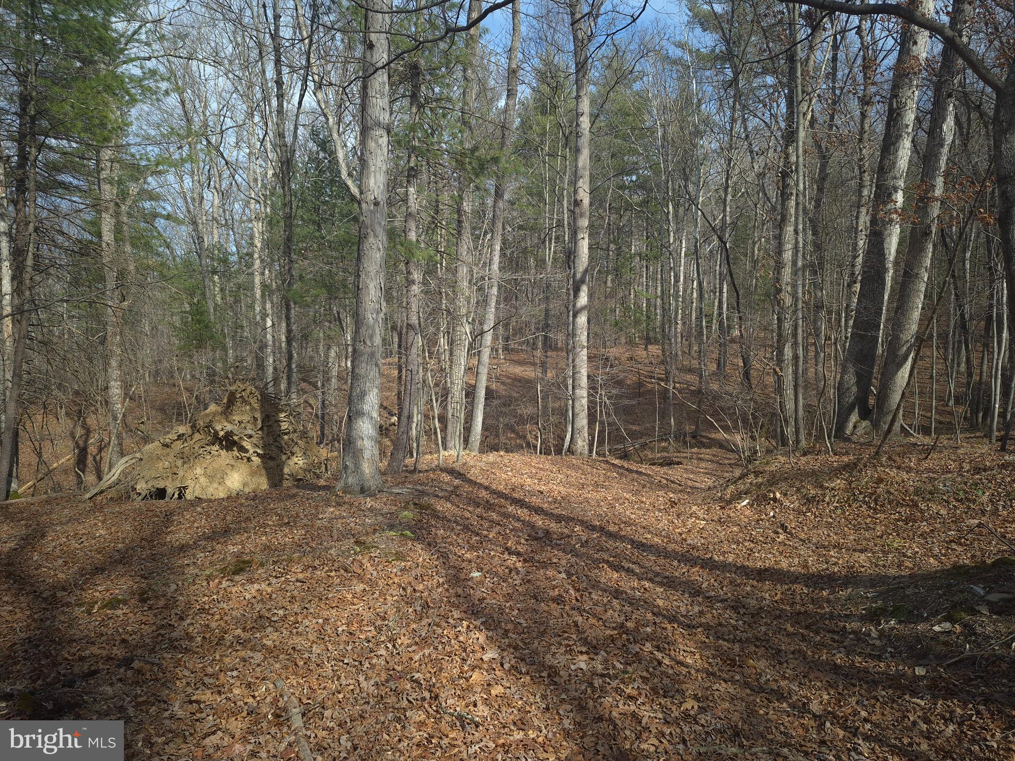 BACK CREEK HEIGHTS - Land