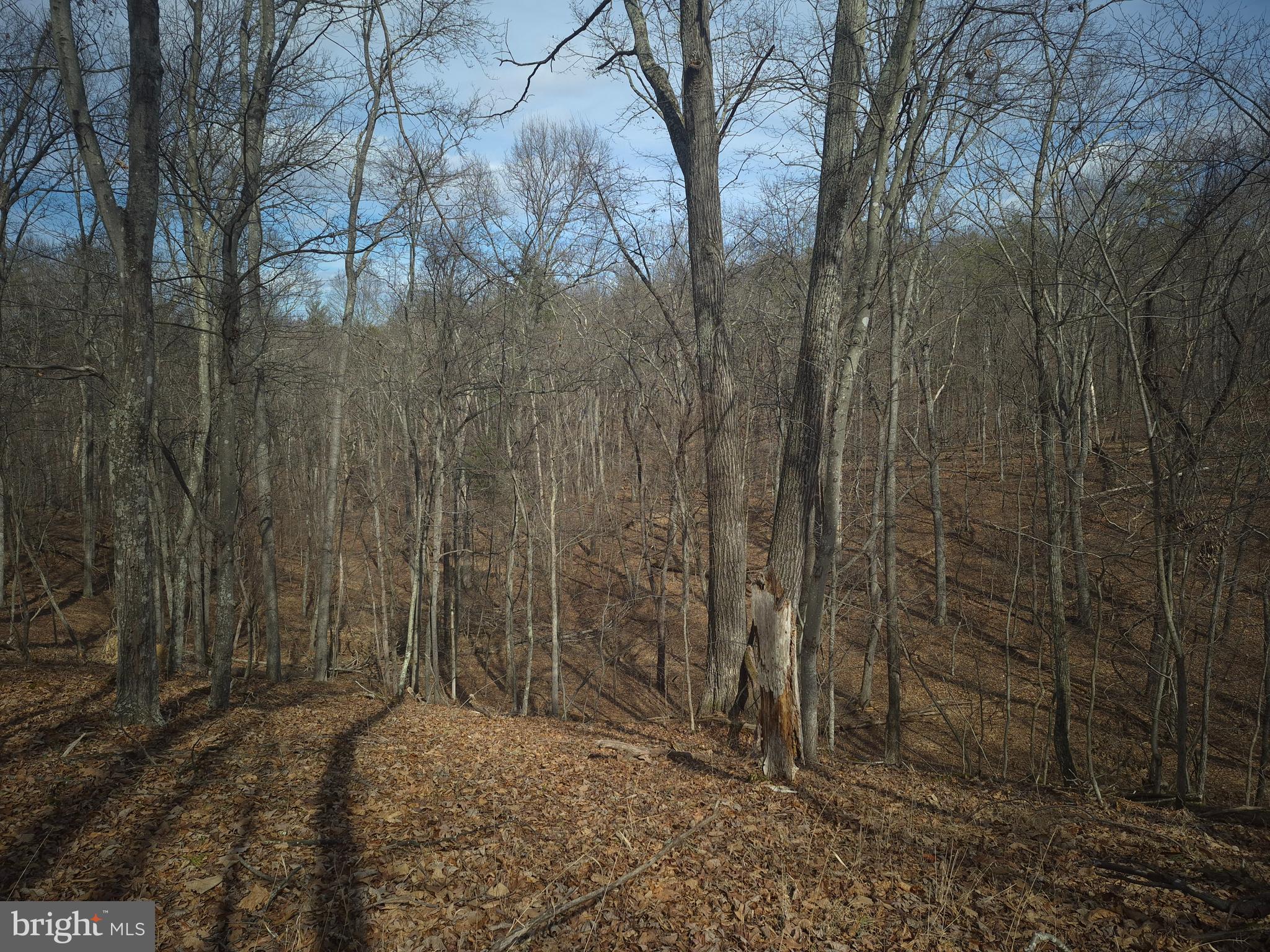 BACK CREEK HEIGHTS - Land