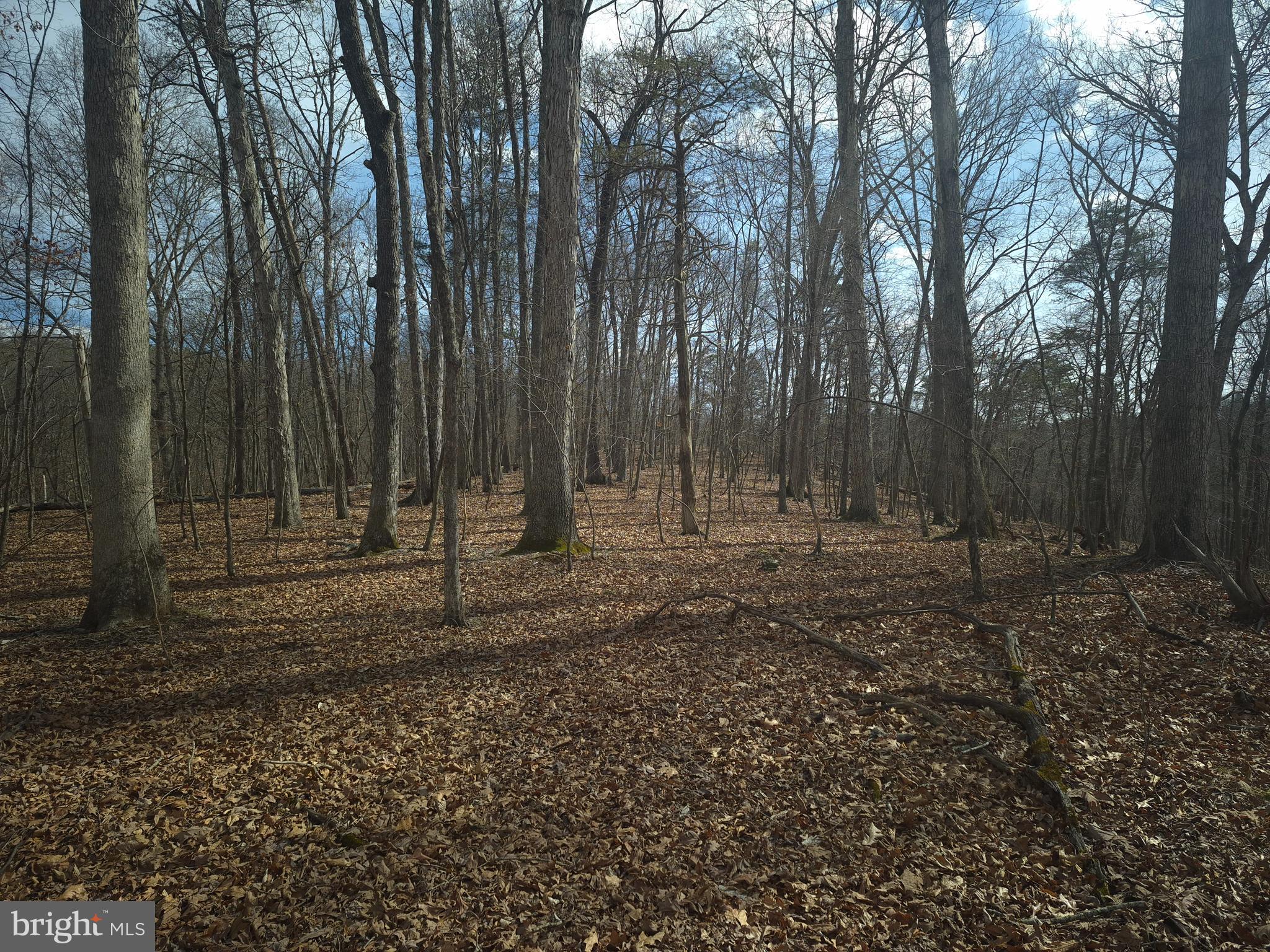 BACK CREEK HEIGHTS - Land