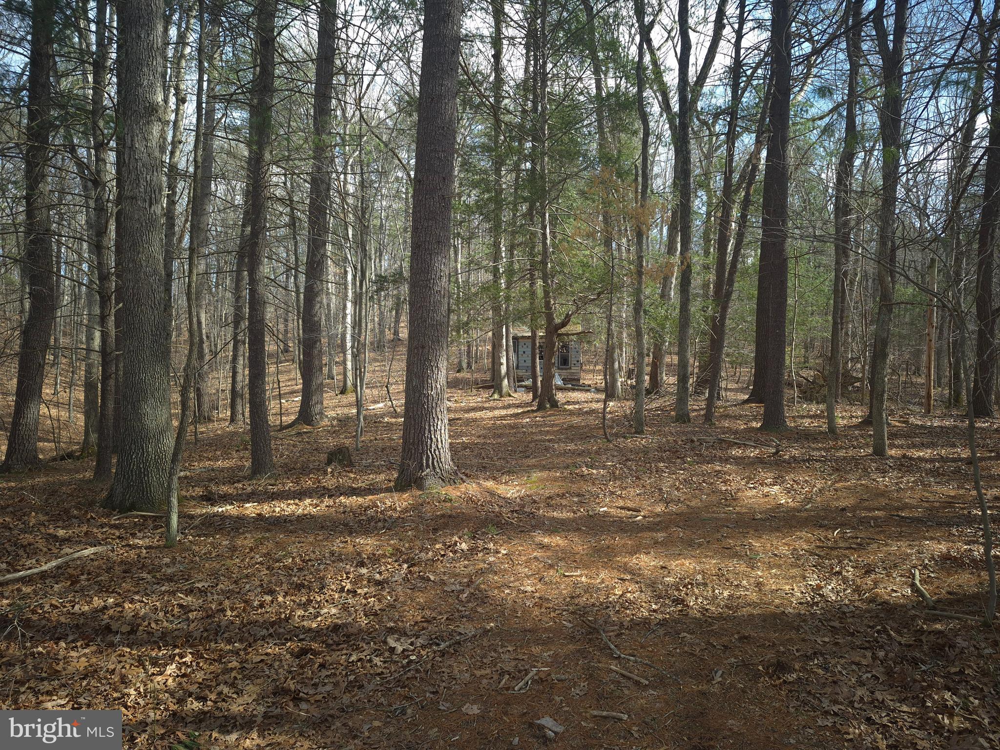 BACK CREEK HEIGHTS - Land