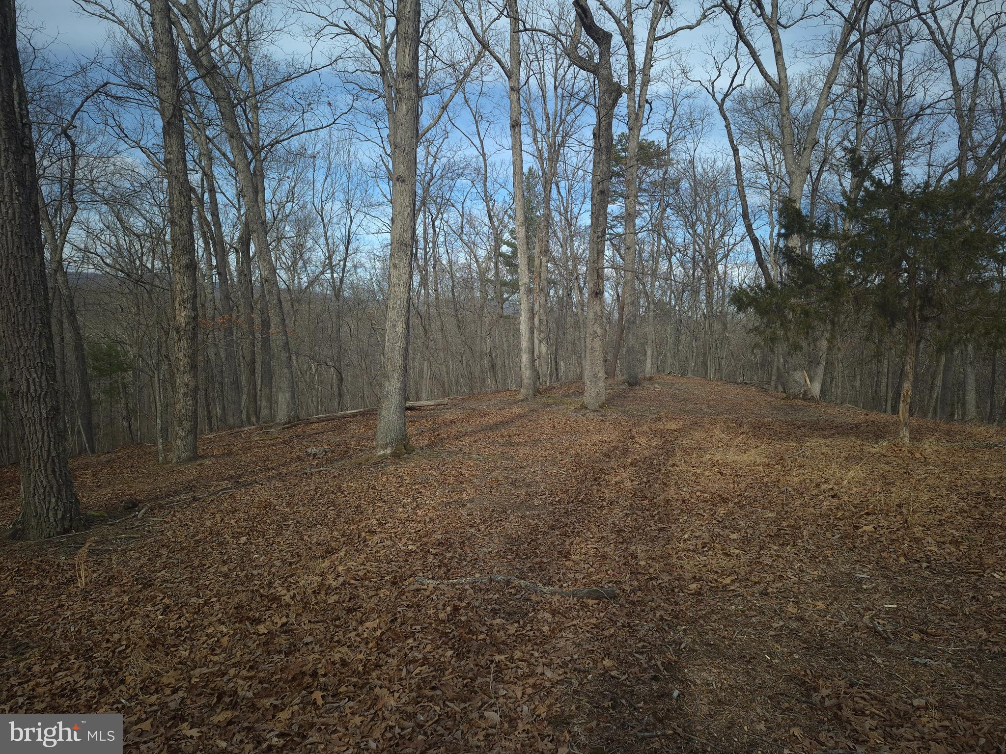 BACK CREEK HEIGHTS - Land