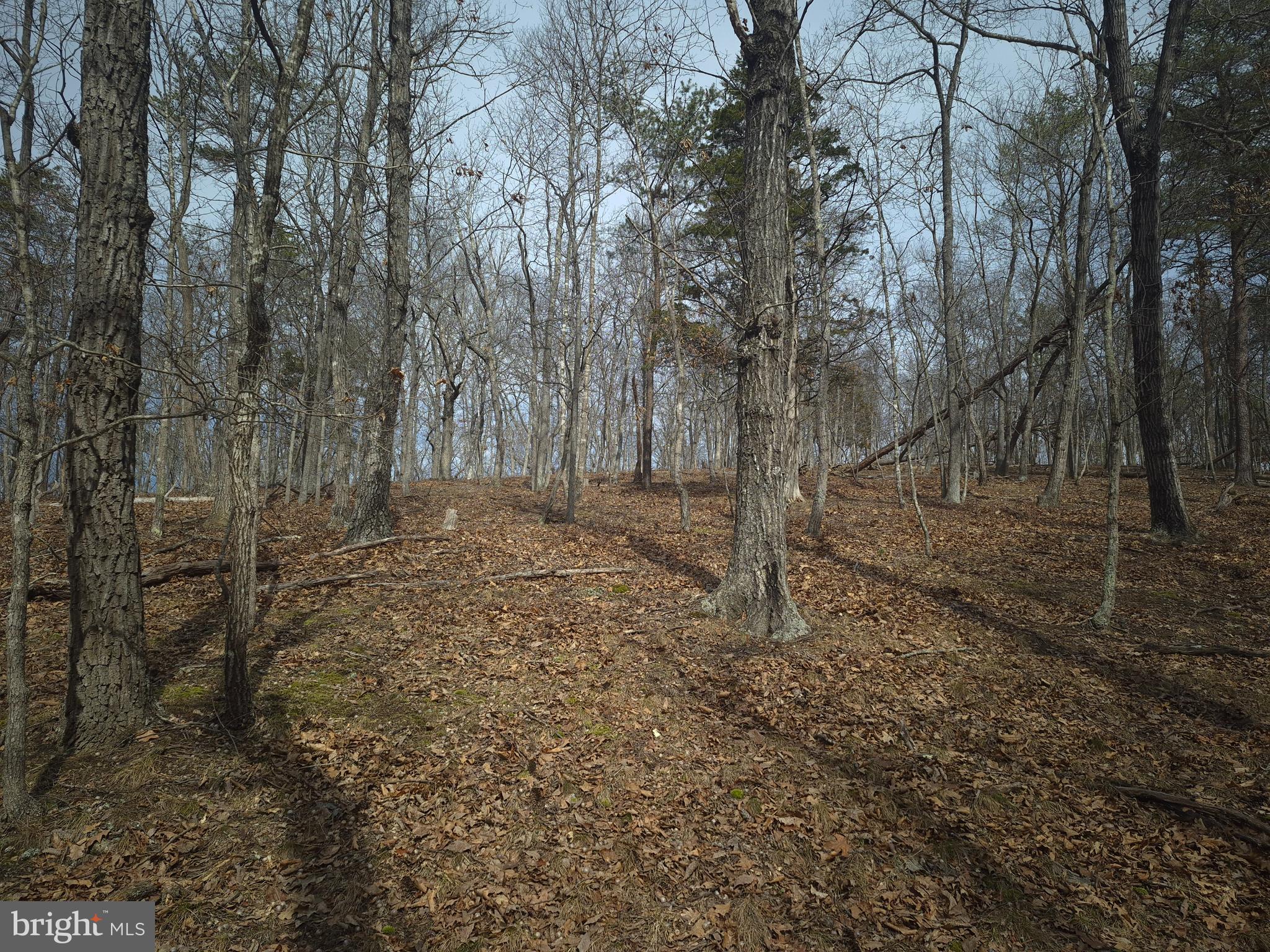 BACK CREEK HEIGHTS - Land